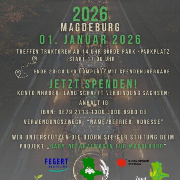 Lichterfahrt Magdeburg